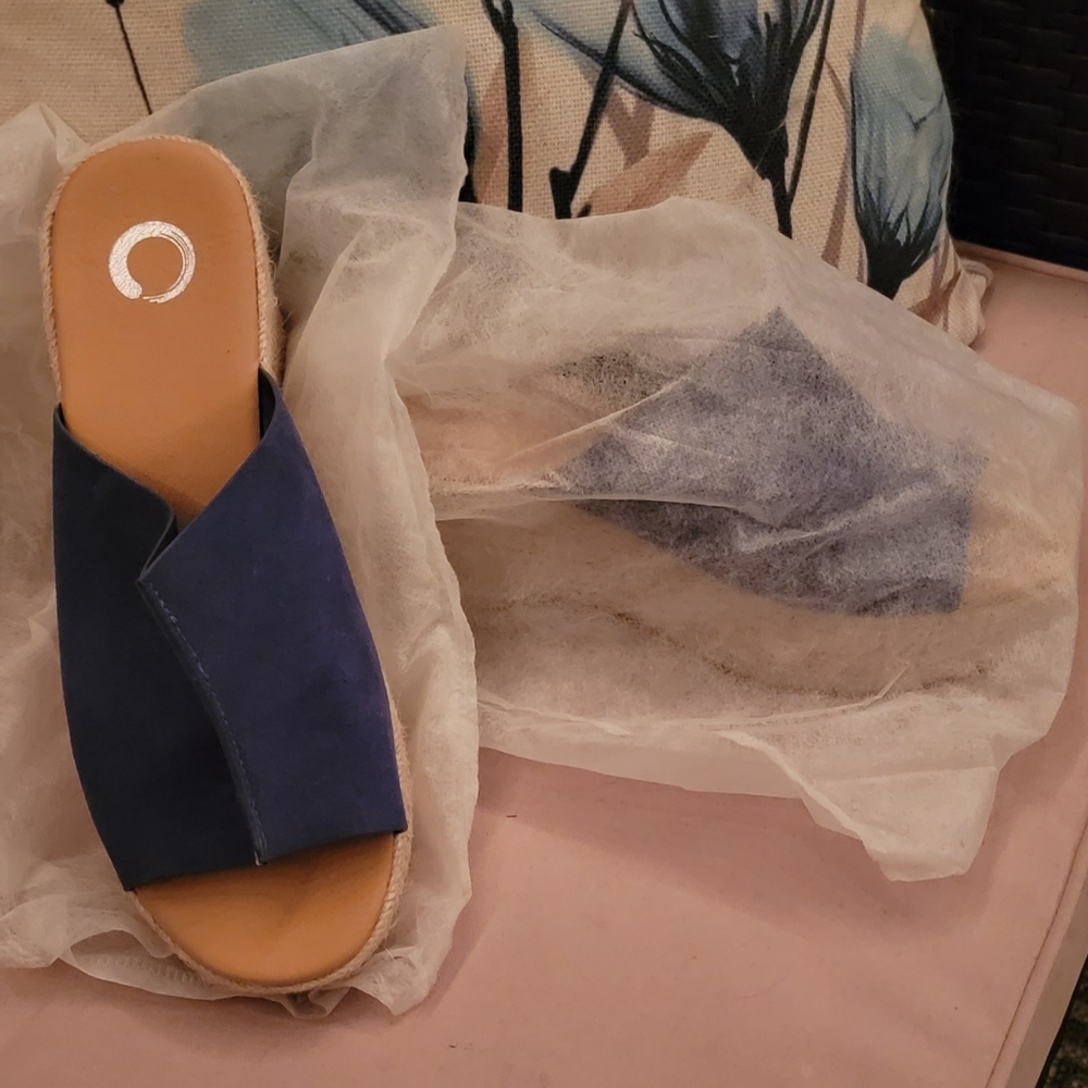 Blue wedge shoes, with dust covers.